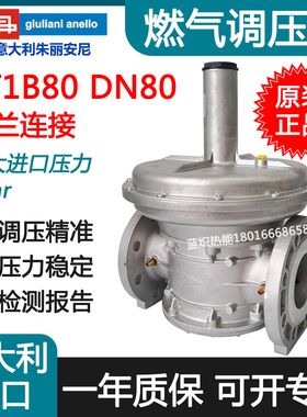 ST1B80 DN80意大利朱丽安尼燃气调压阀稳压阀减压阀STR80 100