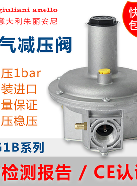 意大利燃气减压阀稳压阀 朱利安尼调压阀FG1B50 25天燃气燃气减压
