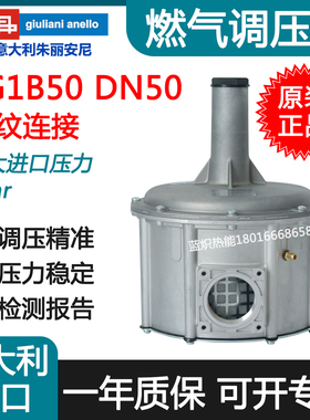 FG1B50 DN50/2寸意大利朱丽安尼 燃气天然气管道调压阀稳压减压阀