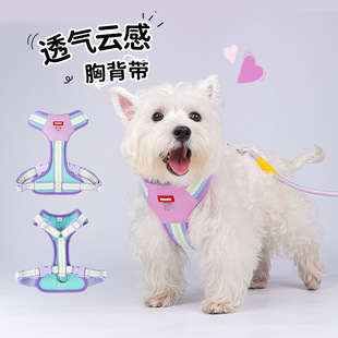 夏季狗狗胸背带工字型宠物胸背透气溜狗绳外出小狗牵引绳轻便撞色