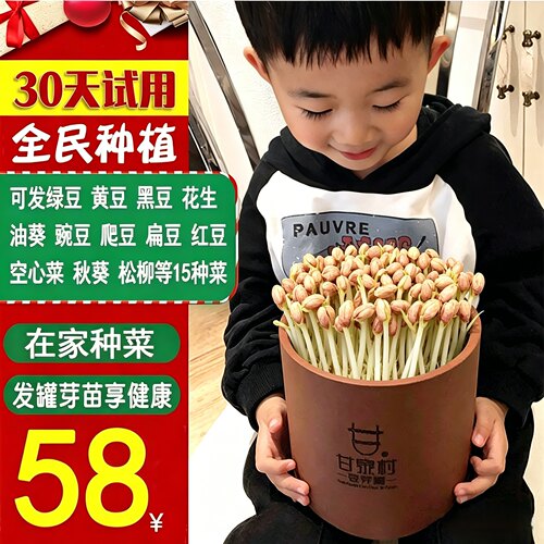 食品级材质四季可用紫砂豆芽罐