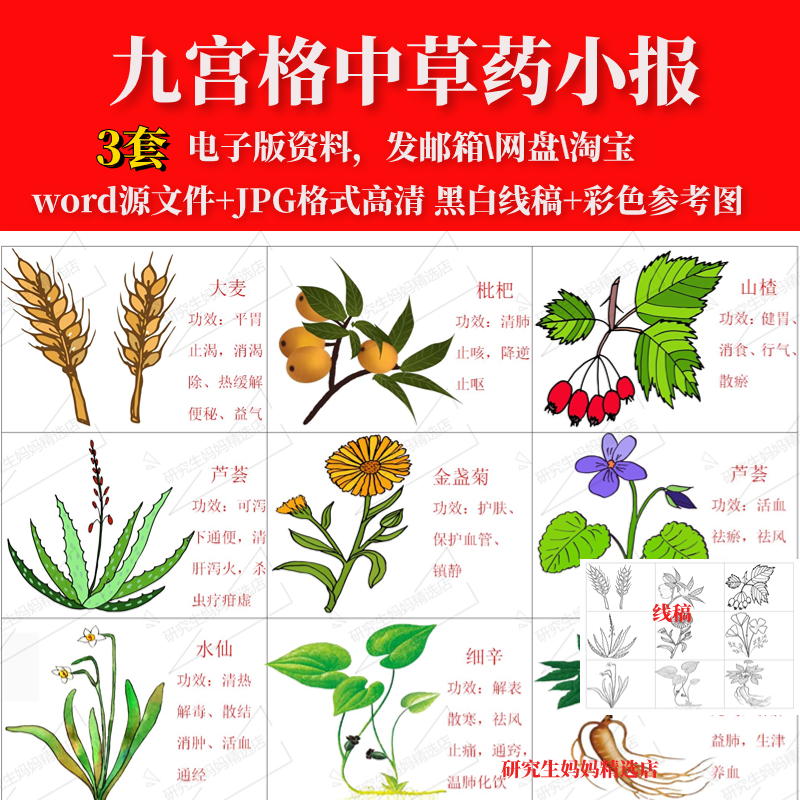 中草药介绍九宫格漫画绘画主题画艾草枸杞薄荷三七手抄报线稿涂色