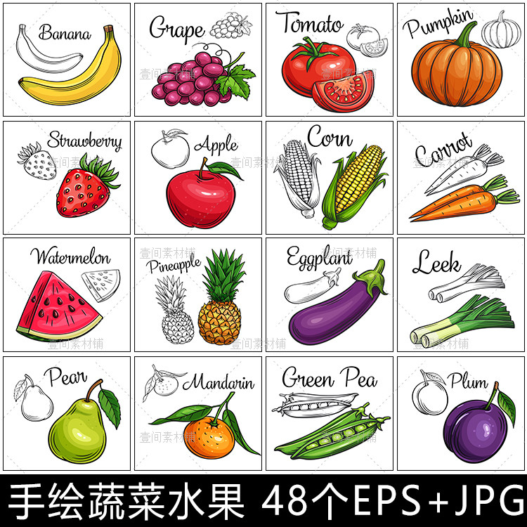 sg21手绘卡通水果苹果香蕉西瓜蔬菜线稿简笔画儿童涂色插画素材图