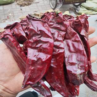 精品新疆铁板椒不辣的辣椒红龙23上色辣椒面不辣的干辣椒段面商用