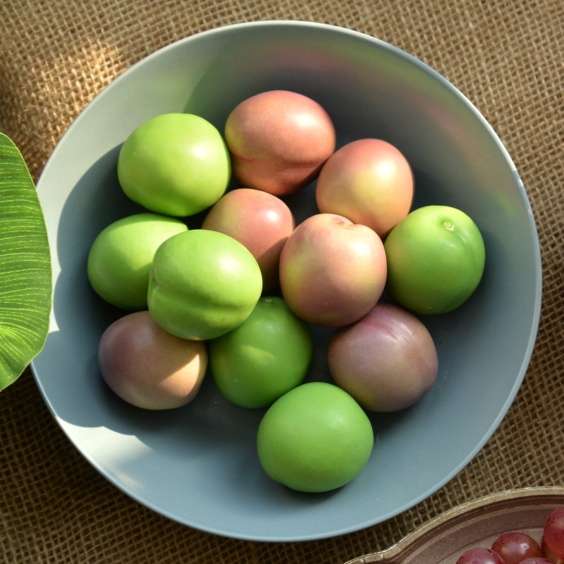 仿真李子模型 假青脆李水果装饰餐厅摆件摄影道具儿童玩具紫布林