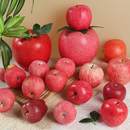 圣诞节仿真苹果假红苹果模型红富士水果橱柜摆件供果摄影装 饰道具