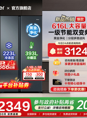 [换新补贴]海尔616L双门大冷冻容量对开门家用一级风冷无霜电冰箱