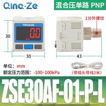 SMC型数显ZSE数字ISE30A气压表01压力表N开关L真空表DPSN1负压020