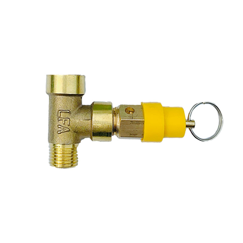 水泵无塔供水器配件止回阀压力开关控制器压力表全铜安全阀三通