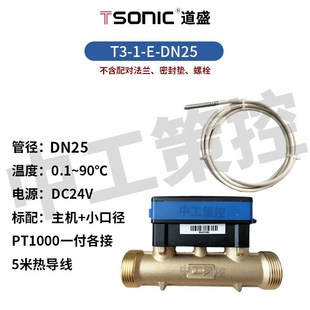 大连道盛T3-1-E双声道热量表超声波温度传感器探头工业仪表包邮