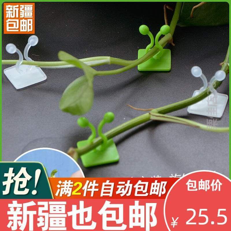 挂墙上固定器爬花!无痕绿枝神器爬藤杆绿萝卡扣绿植家用夹子绿箩