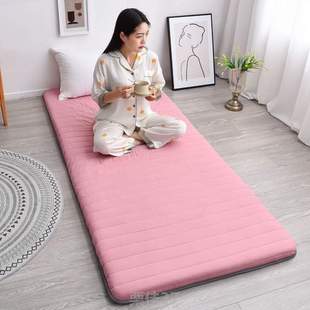 地上睡觉垫床垫折叠专用打地铺地垫防潮软垫家用耐磨榻榻米爬行