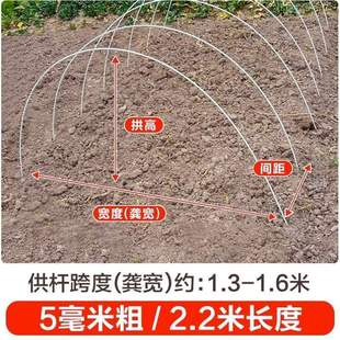 玻璃纤维小弹力育苗拱棚.蔬菜农用支架棚小棚家用棒杆保温遮阳网