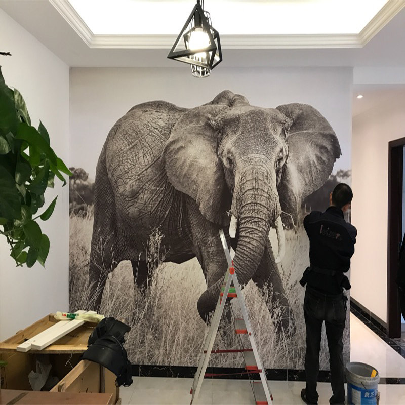 3d立体非洲大草原大象破墙而出壁画个性创意墙纸现代背景墙画壁纸