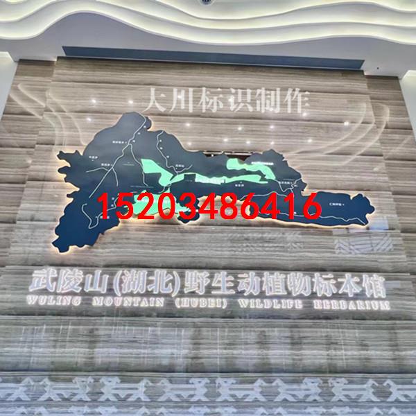 定制智能遥控不锈钢发光地图形象背景墙展厅动态中国世界地图