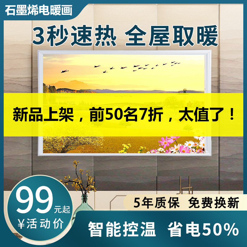 石墨烯碳晶墙暖壁画家用电暖气壁挂式电热板节能省电取暖器电暖画