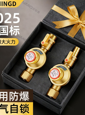 家用天然气燃气管道自闭阀漏气自动断气保护泄露防漏超压安全阀门