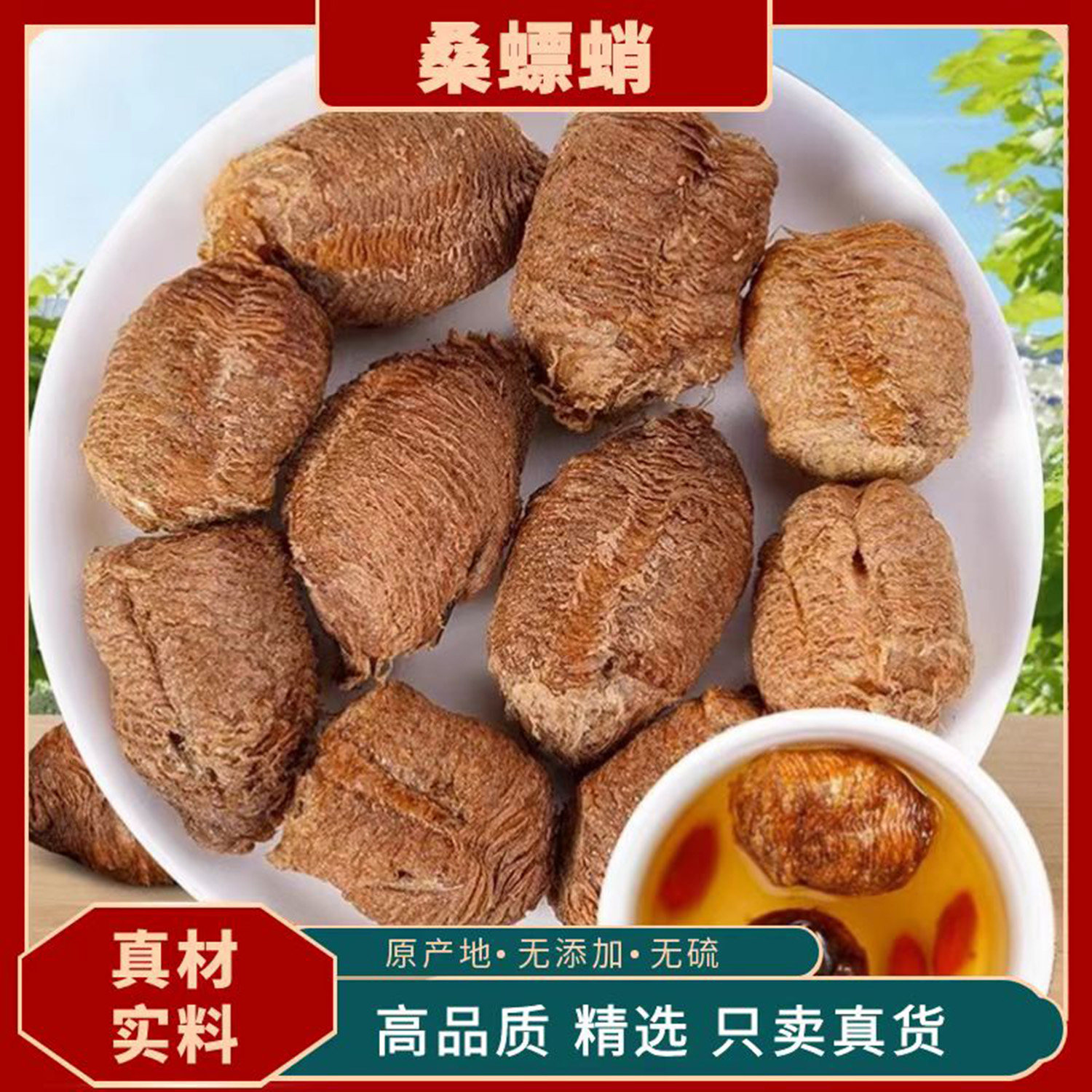 桑螵蛸中药材 桑漂肖 桑票消 嗓飘销 野生螳螂子卵鞘巢刀螂子粉
