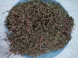中药材 地锦草 小飞扬草 铁线草 奶汁草 500克包邮
