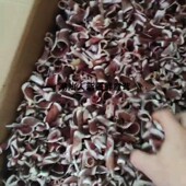 正宗新疆鹿茸片涵血熟茸片马鹿角茸骨胶片砍茸熬汤胶质泡酒新鲜茸