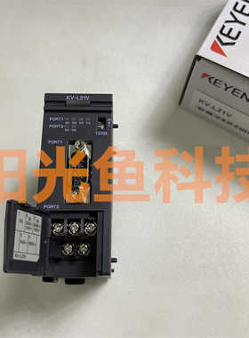 KV-L21V 基恩士 KV-XLE02  EP02 LE21V可编程控制 XL202 XD02全新
