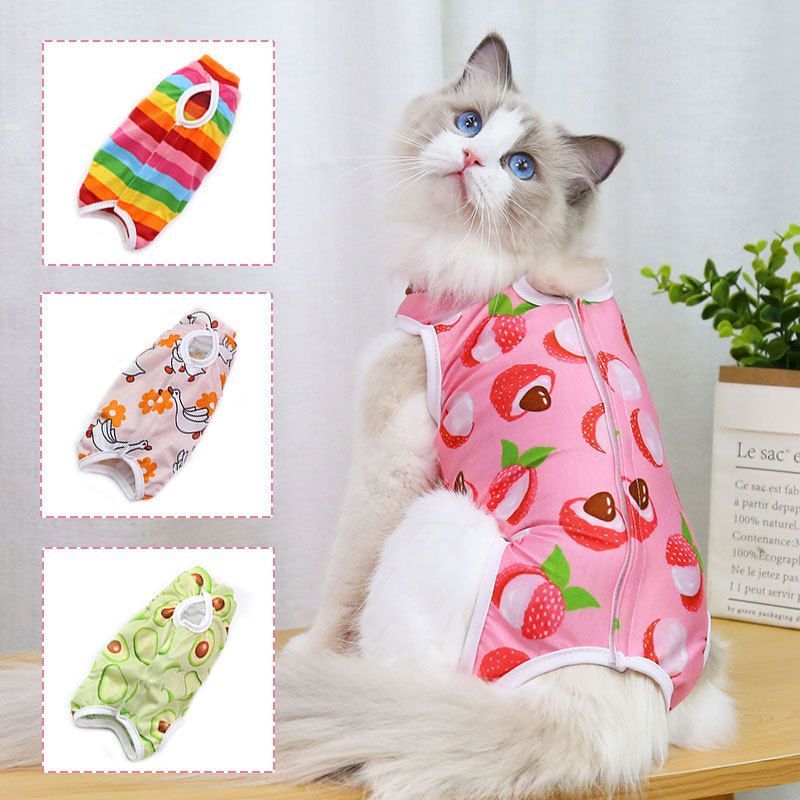 母狗绝育术后服四季宠物小中型犬全包狗狗猫咪绝育服手术后四脚水