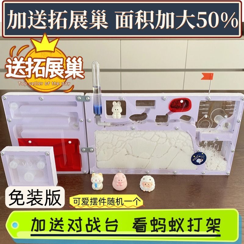 养蚂蚁生态箱宠物生态箱蚂蚁工坊城堡送蚁后饲养盒学生观察沙巢王