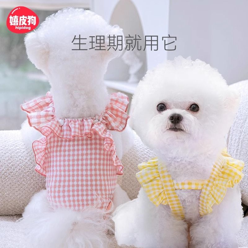 狗狗生理裤母狗夏季狗狗生理裤母狗专用姨妈裤安全裤防交配神器卫