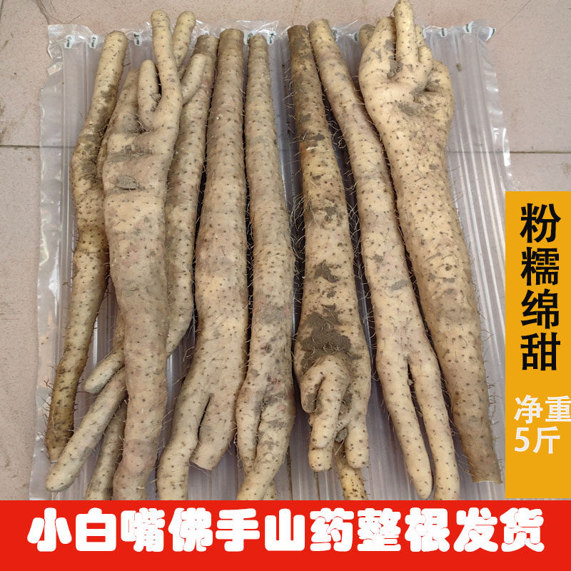农户直销新鲜小白嘴白山药整根佛手净重3斤5斤装农户直销