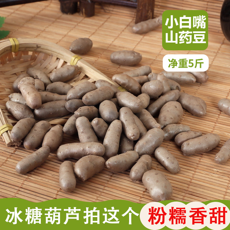 新鲜小白嘴山药豆糖葫芦专用特大长果批发辅食零余子铁棍豆山药蛋,传统滋补营养品,山药及其制品,淘宝优惠券,粉丝福利购,淘宝优惠卷