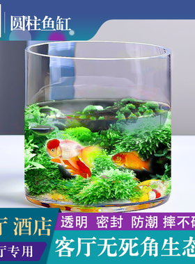 嘉宝日用VR直身酒店大厅鱼缸客厅小型生态造景缸办公室透明金鱼缸