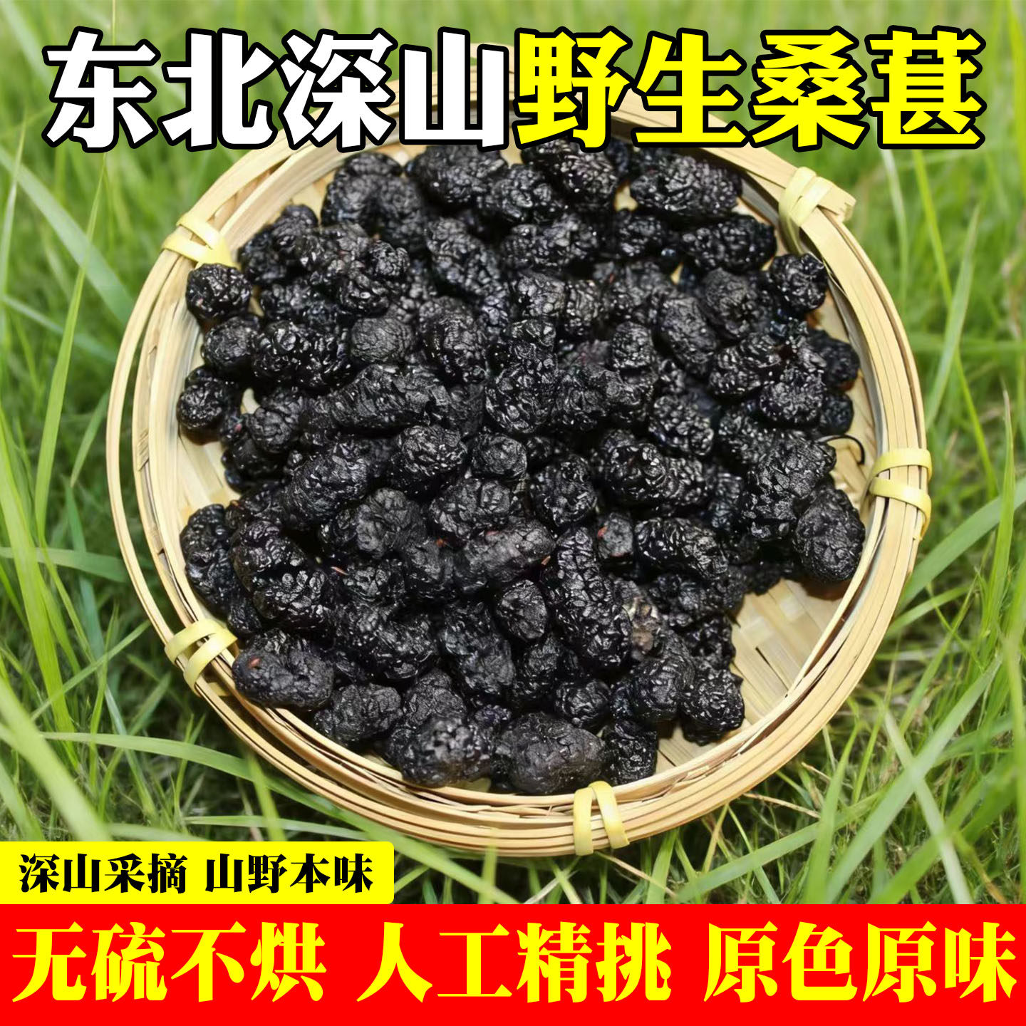 野生桑葚干黑桑椹中药材泡水新鲜枸杞茶泡茶专用五黑茶果干养生茶