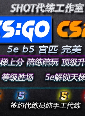 CSGO代练完美世界天梯上分定级赛5E代打CS2定位官匹胜场