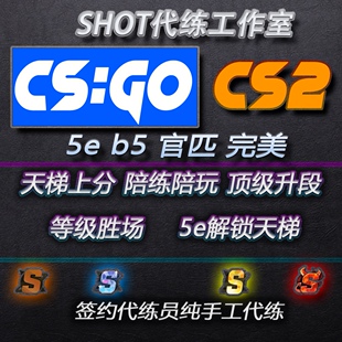 CSGO代练完美世界天梯上分定级赛5E代打CS2定位官匹胜场