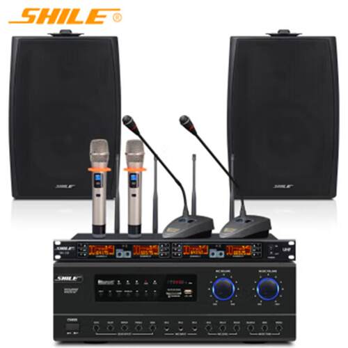 SHILE/狮乐 av108+bx105*2+SH-10中小型会议音响系统组合套装