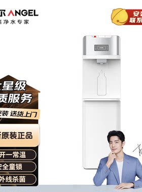  安吉尔 Y2913LK-G商用立式单热管线机办公楼写字楼采购商用定制