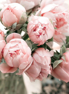 【牡丹与胭红麂皮绒】CANDLEWORKS香薰精油蜡烛DIY材料香精1组