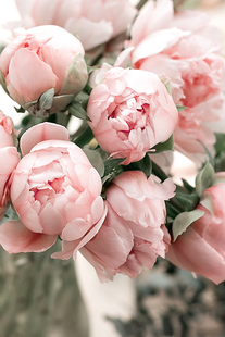 【牡丹与胭红麂皮绒】CANDLEWORKS香薰精油蜡烛DIY材料香精1组