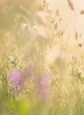 【红茶29】CANDLEWORKS香薰精油香薰蜡烛DIY材料蜡烛香精香料5组