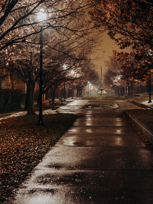 【黑雪松杜松】CANDLEWORKS精油