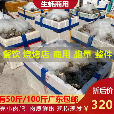 生蚝鲜活商用100斤一整箱