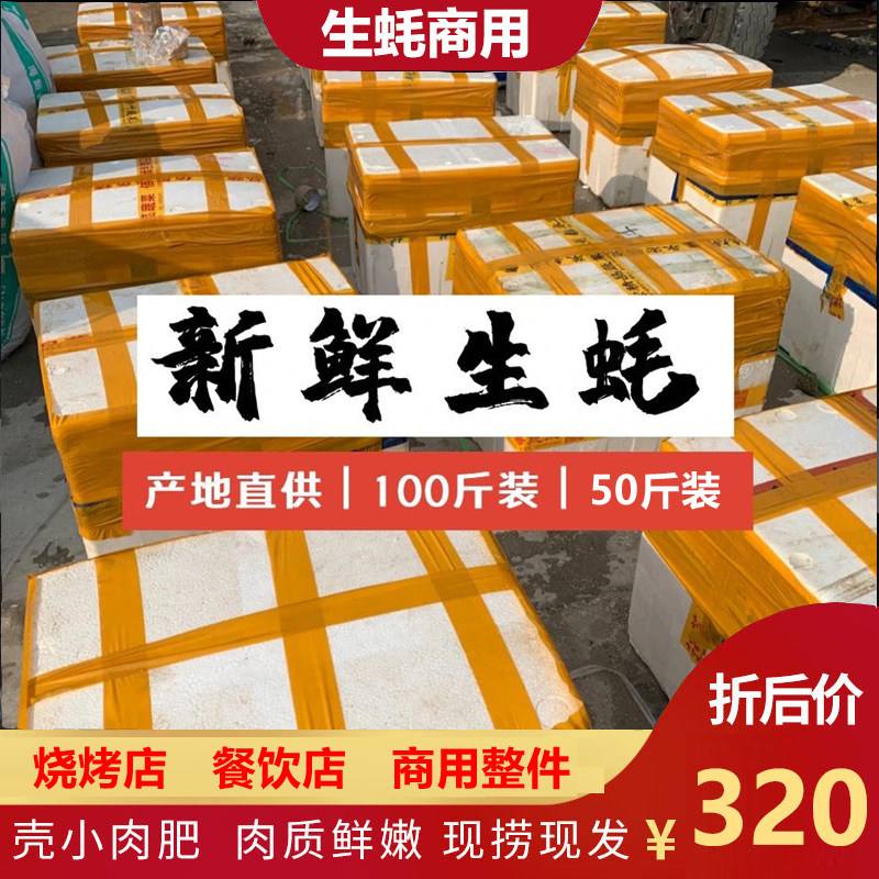 广东生蚝鲜活特大商用100斤一整箱50斤半壳烧烤地摊包邮