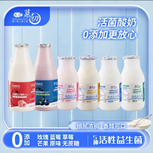 【农大酸奶&东农慕初】0添加农大活菌发酵乳原味蓝莓玫瑰校园酸奶