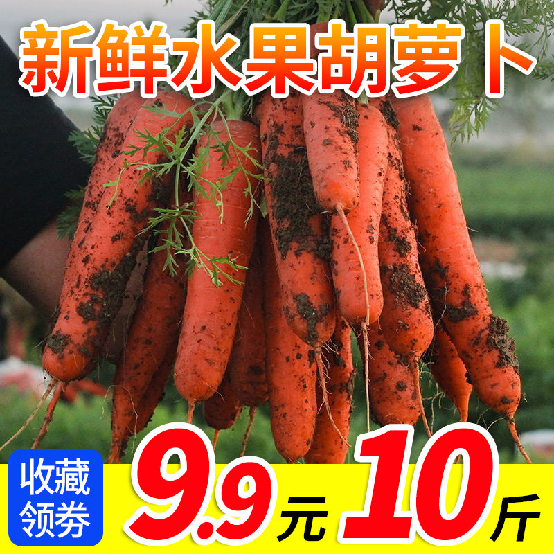 10斤沙窝即食红萝卜蔬菜带泥农家沙地水果胡萝卜生吃新鲜红心脆甜|msdalam kategori daging perikanan/Buah-buahan segar dan sayur-sayuran/dimasak, sayur-sayuran segar/Vegetable Products, sayur-sayuran segar, 萝卜 - dari Buy2taobao.com untuk memberikan perkhidmatan ejen Taobao profesional membeli