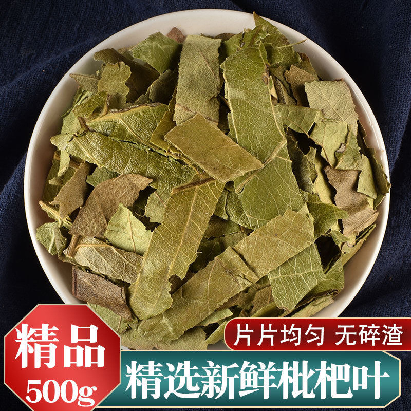 正宗枇杷叶新鲜自然晒干正品枇杷叶无硫无添加枇杷叶新货批发包邮