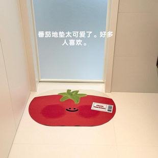 番茄硅藻泥浴室吸水地垫软垫速干入户门防滑脚垫高颜值入户门垫子
