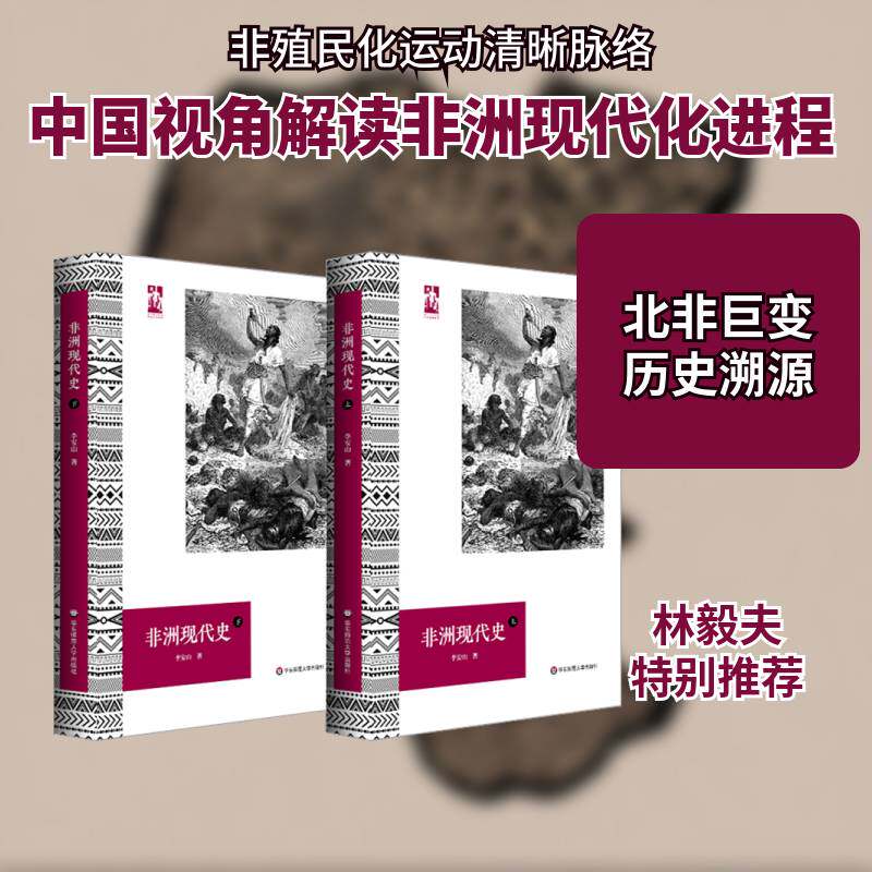 非洲现代史书李安山非洲现代史非洲历史研究爱好者历史书籍