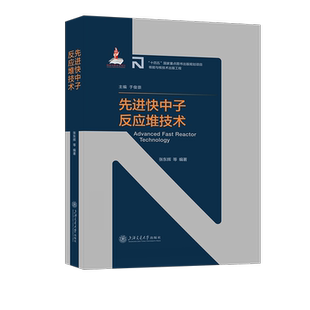 先进快中子反应堆技术书张东辉等  工业技术书籍