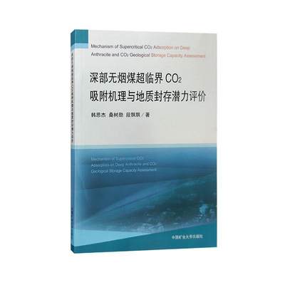 深部无烟煤超临界CO2吸附机理与地质封存潜力评价书韩思杰  自然科学书籍