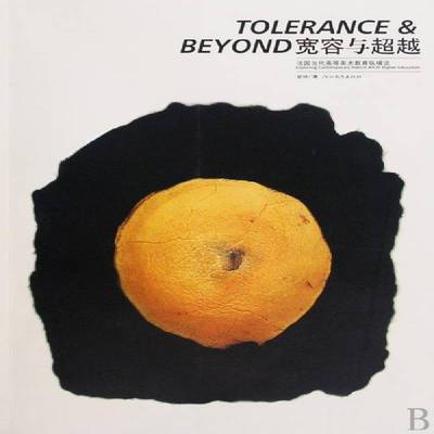 宽容与:法国当代高等美术教育纵横谈:exploring contemporary french art in higher educat书金妹美术高等教育法国文集 艺术书籍